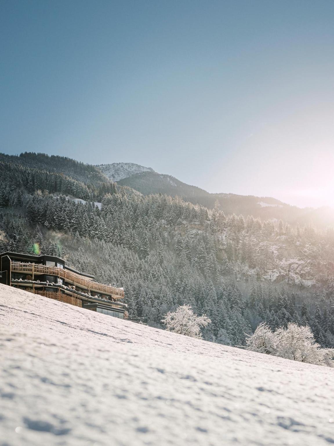 Coolnest Otel Mayrhofen Dış mekan fotoğraf